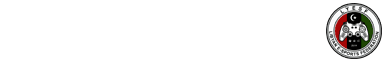 الاتحاد الليبي للرياضات الإلكترونية